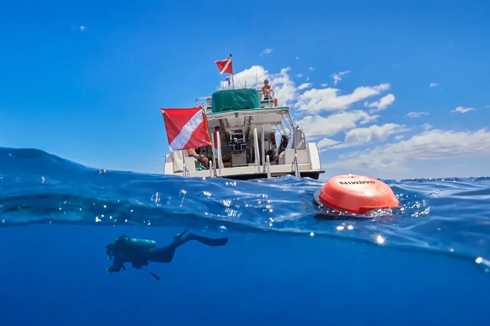 Garmin Descent S1 Buoy