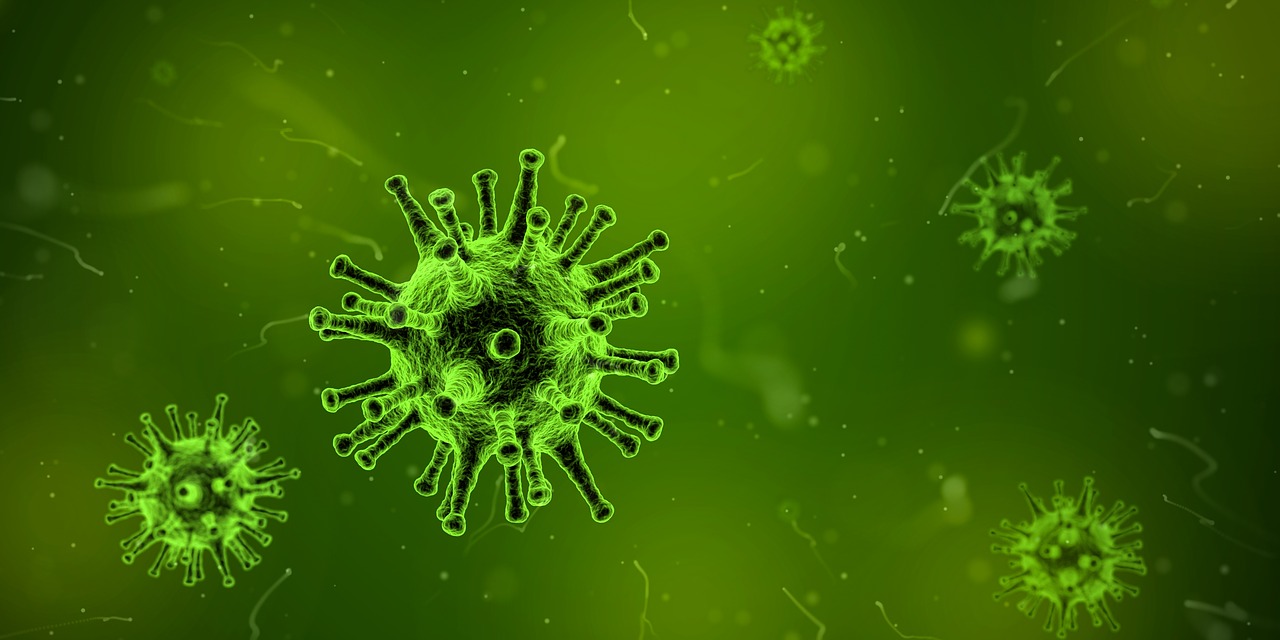 virus-1812092_1280.jpg